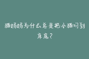 猫妈妈为什么总是把小猫叼到床底?