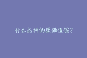 什么品种的黑猫值钱?