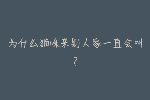 为什么猫咪来别人家一直会叫?