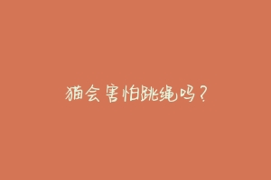 猫会害怕跳绳吗?