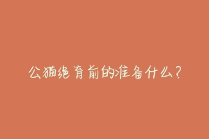公猫绝育前的准备什么?