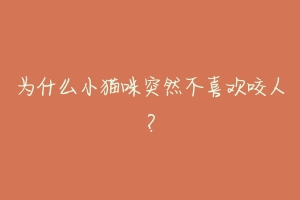 为什么小猫咪突然不喜欢咬人?