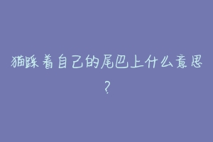 猫踩着自己的尾巴上什么意思?