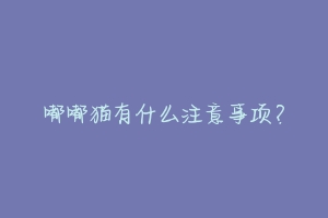 嘟嘟猫有什么注意事项?