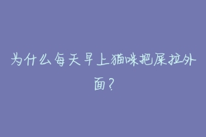 为什么每天早上猫咪把屎拉外面?