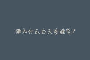 猫为什么白天爱睡觉?