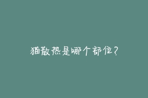 猫散热是哪个部位?