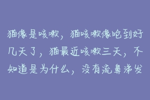 猫像是咳嗽,猫咳嗽像呛到好几天了,猫最近咳嗽三天,不知道是为什么,没有流鼻涕发烧什么的?