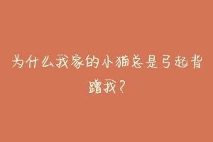 为什么我家的小猫总是弓起背蹭我?