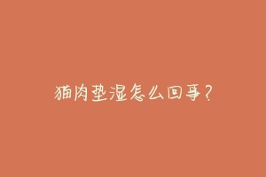 猫肉垫湿怎么回事？