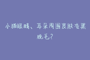 小猫眼睛、耳朵周围皮肤变黑脱毛?