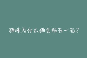 猫咪为什么猫会粘在一起?