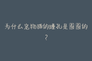 为什么宠物猫的瞳孔是圆圆的?