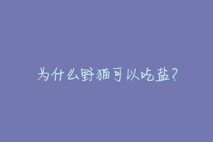 为什么野猫可以吃盐?