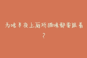 为啥半夜上厕所猫咪都要跟着?