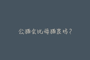公猫会比母猫皮吗?