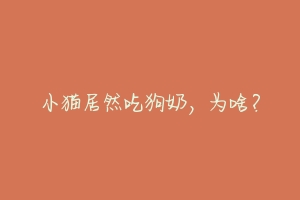 小猫居然吃狗奶,为啥?