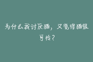 为什么我讨厌猫,又觉得猫很可怜?