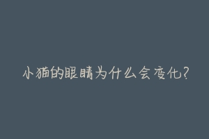 小猫的眼睛为什么会变化?