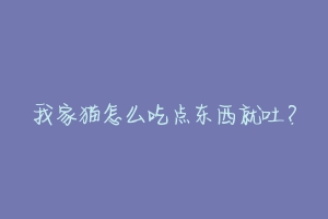 我家猫怎么吃点东西就吐？