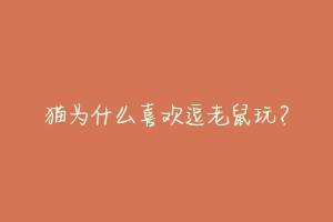 猫为什么喜欢逗老鼠玩?