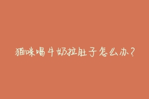 猫咪喝牛奶拉肚子怎么办?