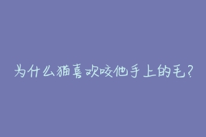 为什么猫喜欢咬他手上的毛?