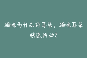 猫咪为什么抖耳朵,猫咪耳朵快速抖动?