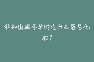 谁知道猫怀孕时吃什么容易化胎?