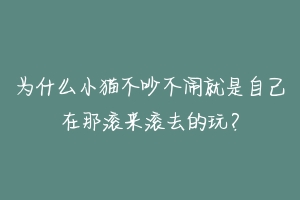 为什么小猫不吵不闹就是自己在那滚来滚去的玩?