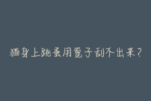 猫身上跳蚤用篦子刮不出来?