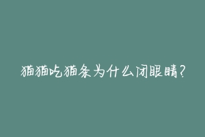 猫猫吃猫条为什么闭眼睛?