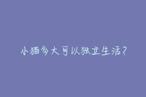 小猫多大可以独立生活?