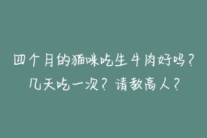 四个月的猫咪吃生牛肉好吗?几天吃一次?请教高人?
