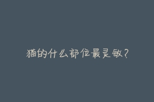 猫的什么部位最灵敏?