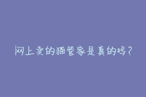 网上卖的猫管家是真的吗?