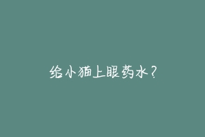 给小猫上眼药水?