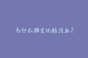 为什么猫会比较冷血?