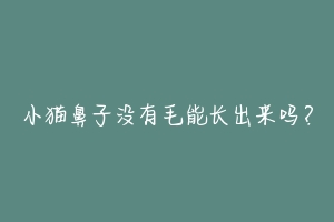 小猫鼻子没有毛能长出来吗?