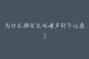 为什么猫发出咕噜声却不让摸?
