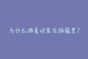 为什么猫喜欢窝在纸箱里?