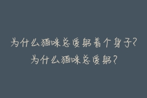 为什么猫咪总爱躬着个身子?为什么猫咪总爱躬?