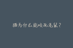 猫为什么能咬死老鼠?