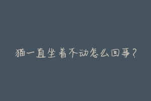 猫一直坐着不动怎么回事？