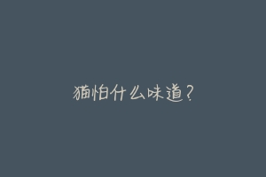 猫怕什么味道？
