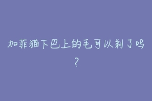加菲猫下巴上的毛可以剃了吗?