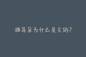 猫耳朵为什么是尖的?