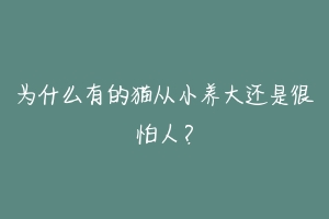 为什么有的猫从小养大还是很怕人?
