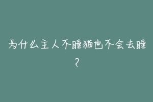 为什么主人不睡猫也不会去睡？
