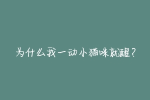 为什么我一动小猫咪就醒?